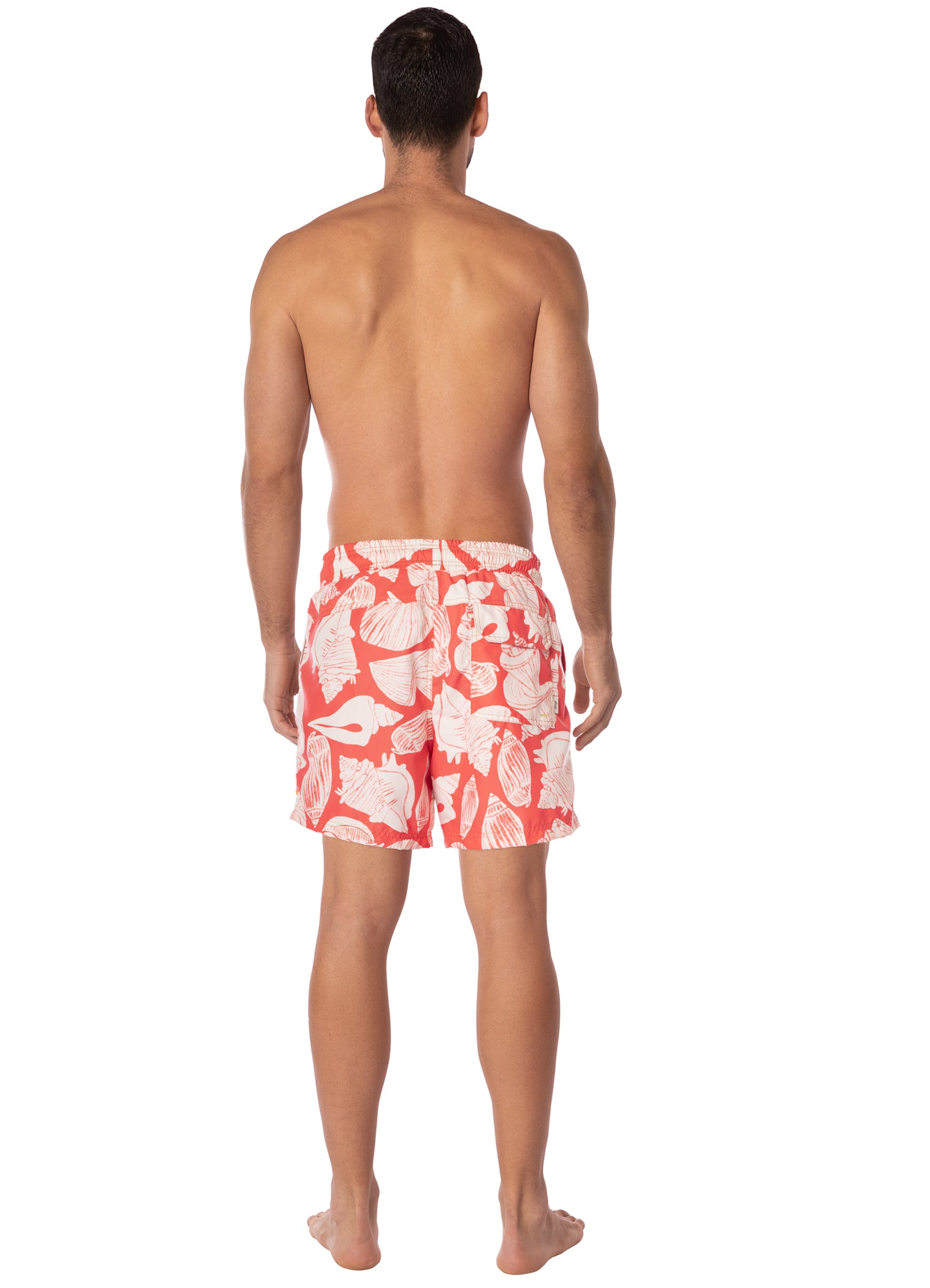 AUSTRALIAN REEF SAILOR SHORT