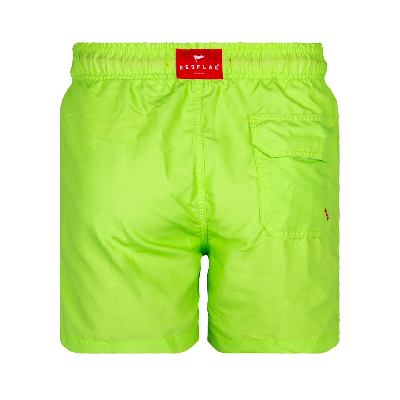 Solid Sharp Green