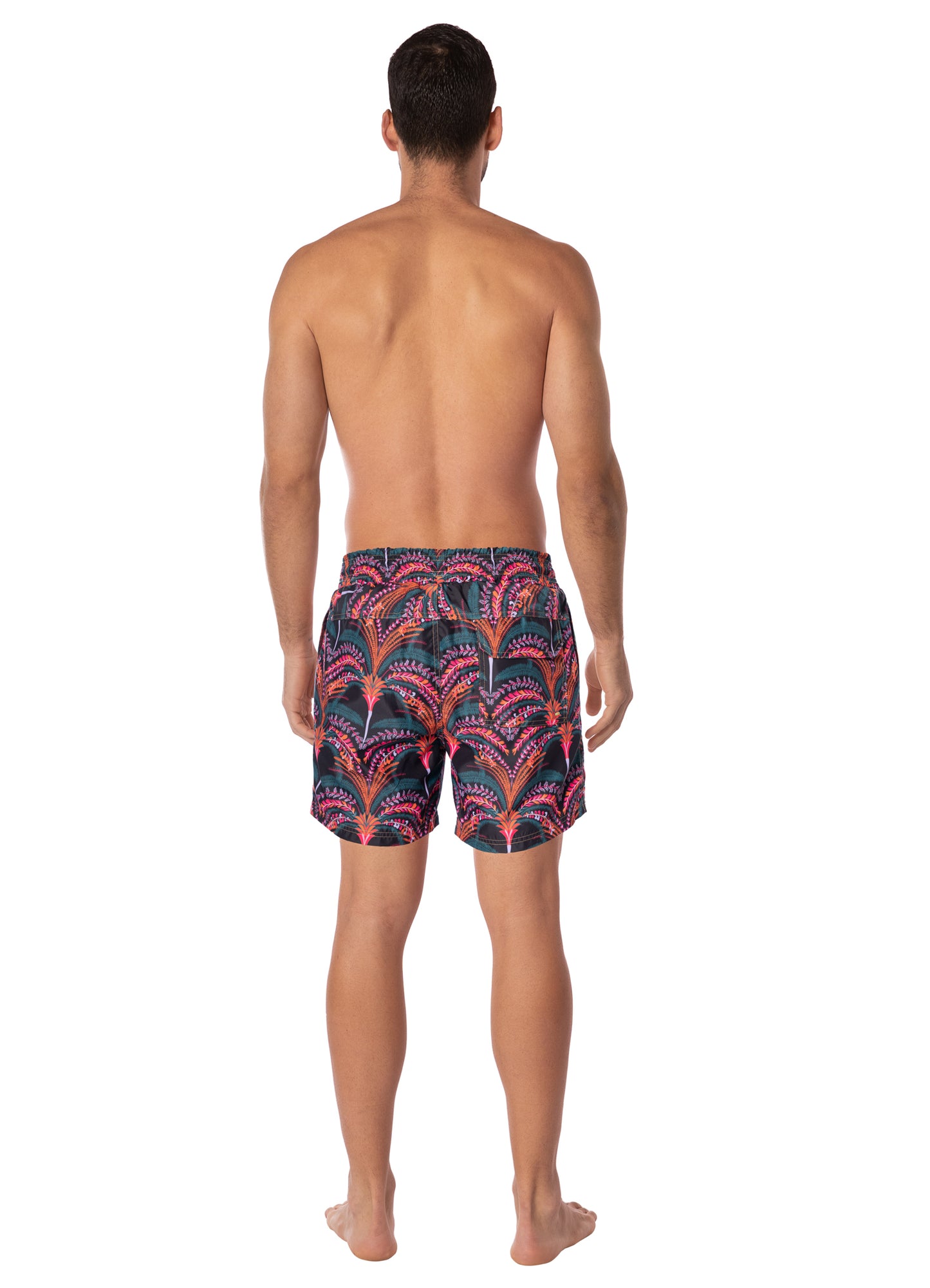 PALM GROVE SAILOR SHORT