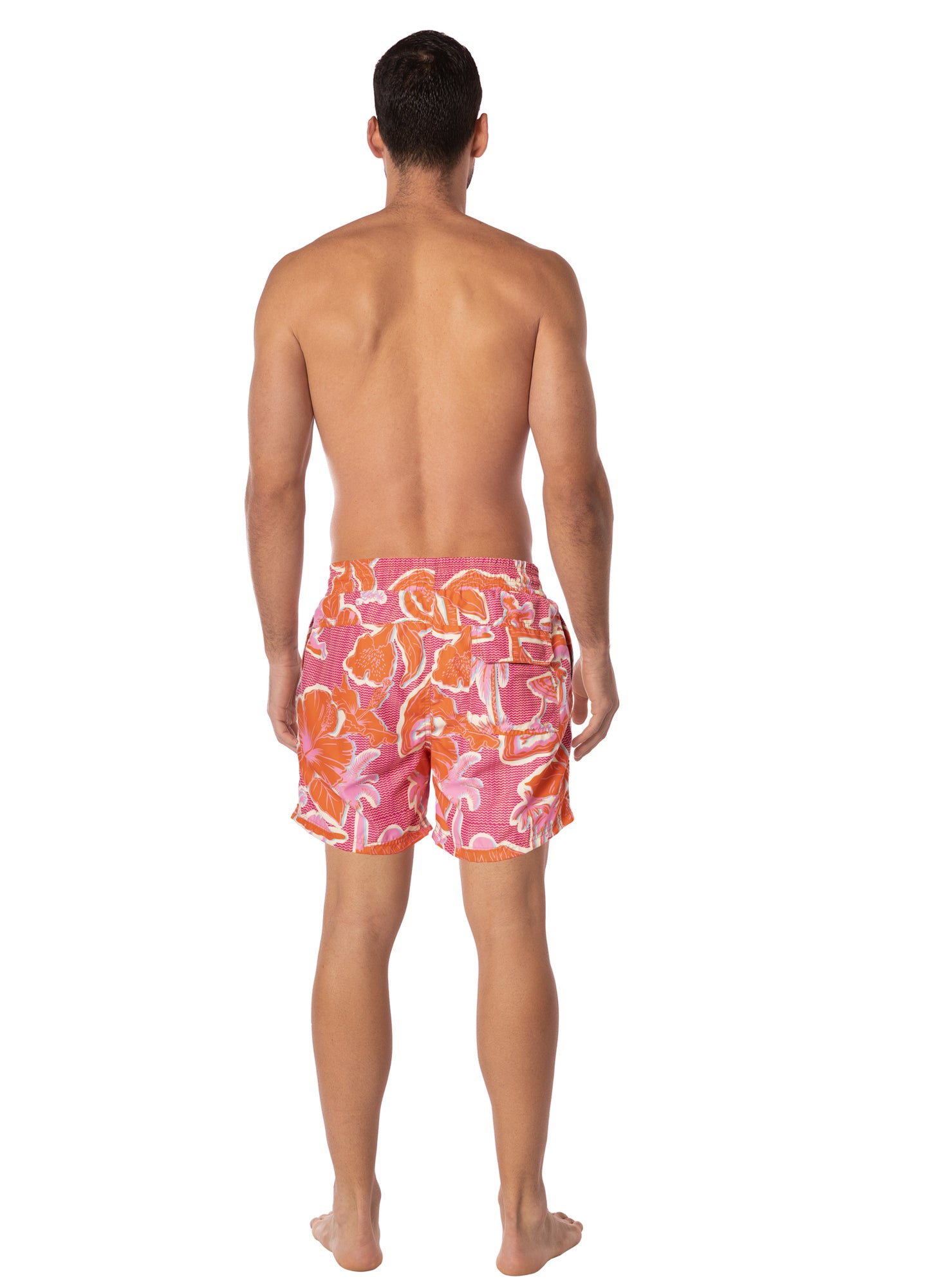 ALOHA DREAM SAILOR SHORT