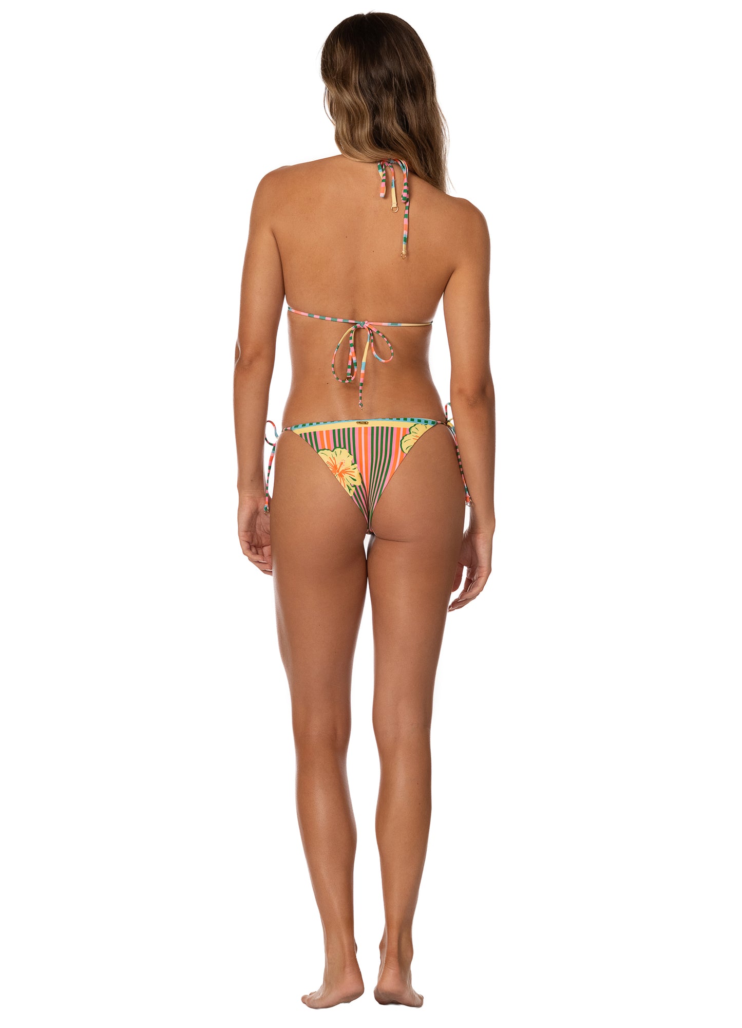STRIPED  PARADISE SUNFLASH - ZENY