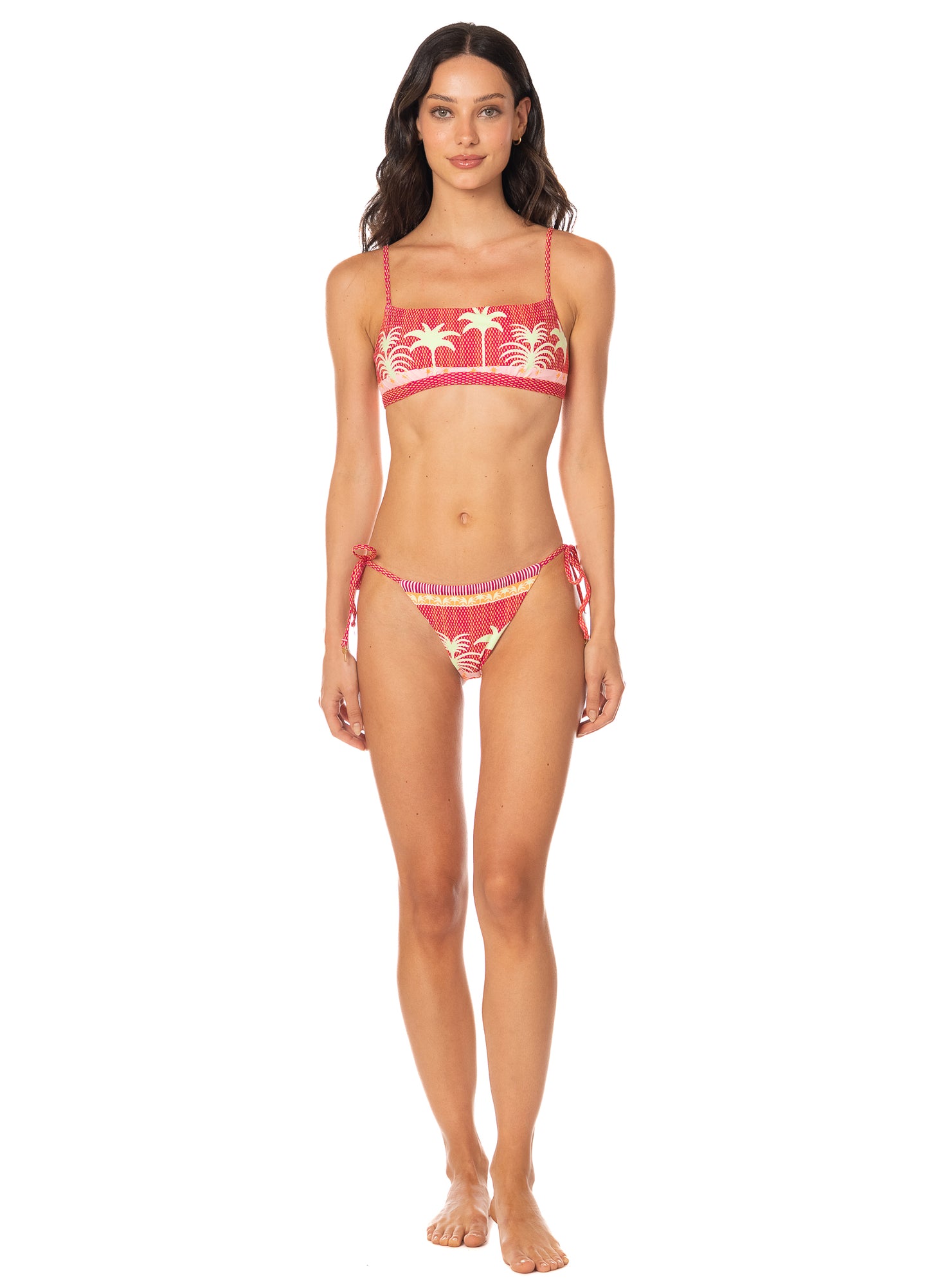 Funky Palms Cintra- Sunflash