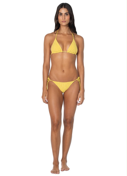 SIGNAL YELLOW-SUNFLASH